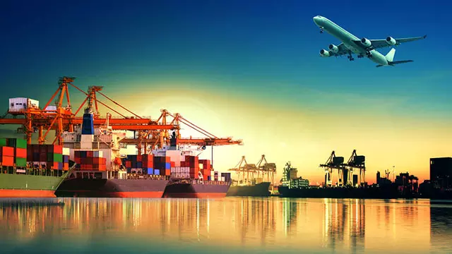 Import & Export | Services