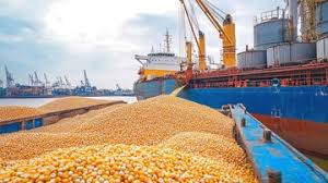 Freight Forwarding Services 